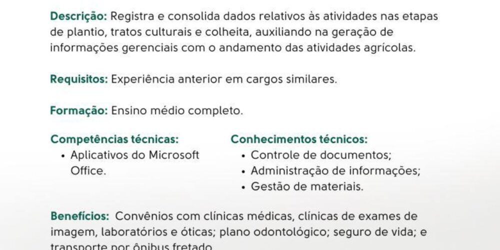 peixin (2) peixin (2)
